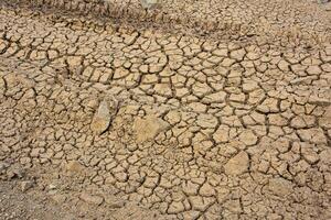 Parched Dry and Cracking Mud Flats in Arid Climate photo