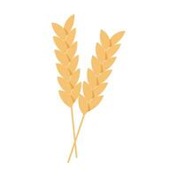 vector hand drawn wheat on white background