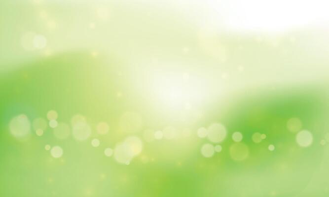 vector realistic bokeh background design