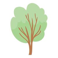 Trees in hand drawn style on white background vector