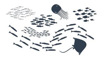 Set of schools of fish. Flock of fishes in the doodle style. vector