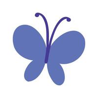Flat butterfly illustration on white background vector