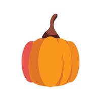 vector pumpkin vegetable icon isolated vector