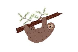 The sloth is hand drawn in a flat style. Wild nature, jungle. Vector illustration for design.