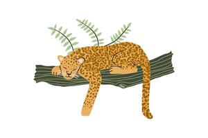 hand drawn leopard on a branch in flat style. jungle, wild nature. vector illustration for design.