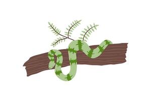 hand drawn snake on a branch in flat style. jungle, wild nature. vector illustration for design.