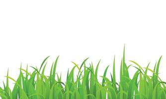 vector realistic grass illustration background