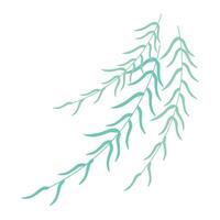 Vector palm three leaf illustration on white background