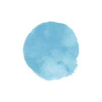 Hand painted watercolor on white background vector