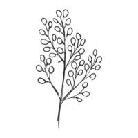 vector hand drawn simple flower outline