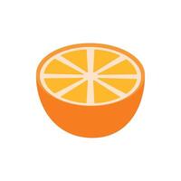 vector orange citrus fruit fresh icon isolated design