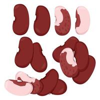 Set of red beans single and bunches vector