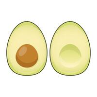 Two cut avocados with and without pits vector