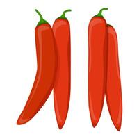 Set of two pairs of red chili peppers vector