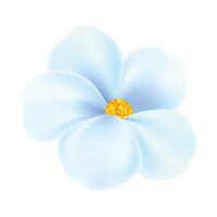 vector realistic detailed spring flower on blue background