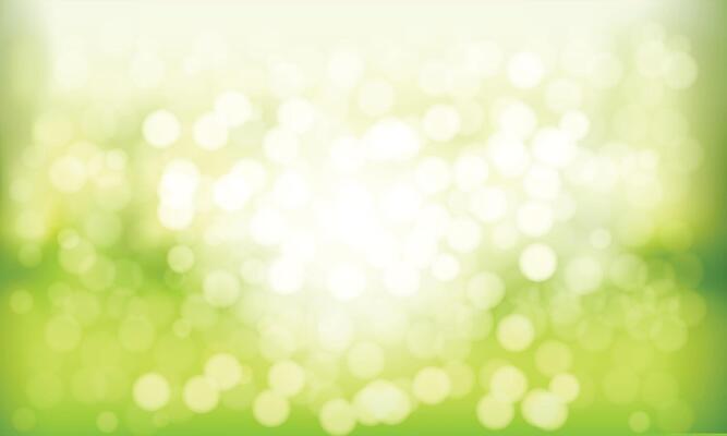 vector realistic bokeh background design