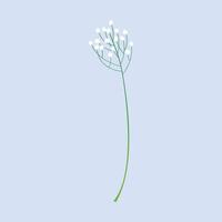 Vector blooming spring flowers on white background