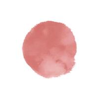 Hand painted watercolor on white background vector
