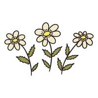 Three Chamomiles flowers. Sprigs with blooming daisies. Vector