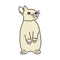 Cute gray hare stands on hind legs. Vector doodle animal