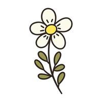 White chamomile flower. Daisy. Vector doodle hand drawn