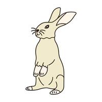 Cute gray hare stands on hind legs. Vector hand drawn