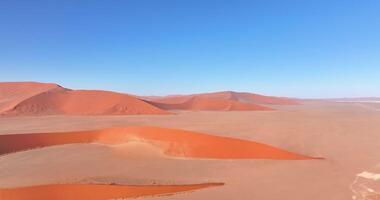 Drönare flyg över de lysande röd sand sanddyner av de namib öken- i sossusvlei tidigt i de morgon- video