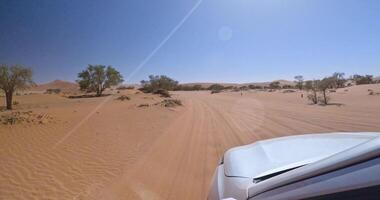 Cuatro ruedas conducir mediante profundo arena a Deadvlei en el namib Desierto en el Mañana video