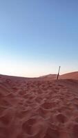 Video of the last meters of the hike to Deathvlei in the Namib Desert in the morning at sunrise