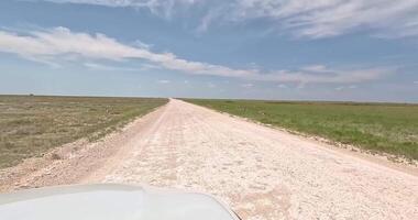 video genomen van een auto Aan een stoffig weg in eosja nationaal park in Namibië met sommige sprinbokken