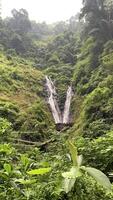 Harmony of Nature Waterfall Amidst Lush Forest photo