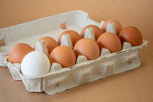 Fresh chicken eggs in a paper tray on the table, selective focus photo