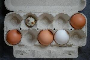 Fresh quail and chicken eggs in a paper tray, top view selective focus photo