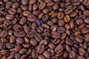 Photo of a Heap of Freshly Roasted Coffee Beans