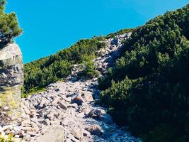 Gorgany - mountain range in Western UkrainView to Syniak mount photo