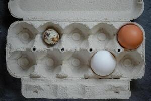 Fresh quail and chicken eggs in a paper tray, top view selective focus photo