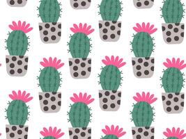 Cactus seamless pattern. Mexico cacti flower and tropical home plants or Arizona summer climate garden cactuses. vector