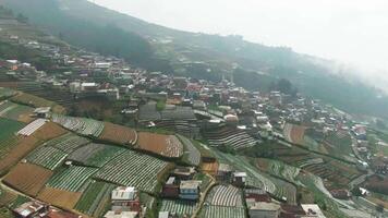 beauté aérien métrage de le le plus élevé village sur monter sommation, Népal van Java Kaliangkrik, magelang, central Java, Indonésie 4k drone - desa tertinggi di kaki gunung sommation magelang video