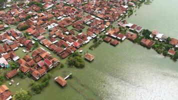 aérien drone métrage de des résidents Maisons étant inondé dans demak, central Java, Indonésie 4k drone vidéo - visuel oudara situation banjir di kabupaten demak, jawa tengah, Indonésie video