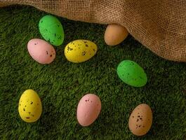 Easter eggs colored on green grass. Congratulations on Easter photo