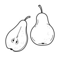 Fruits. Pear. Outline illustration, design element vector