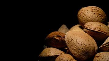 amandes des noisettes sur noir Contexte video