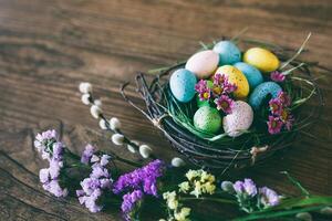 Easter background. Bright colorful eggs in nest with spring flowers over wooden dark background. Selective focus with copy space. photo