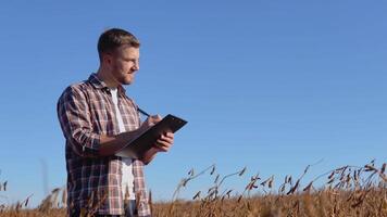 een boer of agronoom in de midden- van een volwassen soja zullen maken inzendingen in een tablet met documenten video