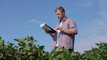 une Jeune agriculteur fait du Remarques dans une tablette à propos le particularités de soja croissance dans le champ video