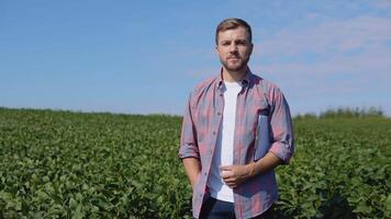 A young farmer stands in the middle of a soybean field video