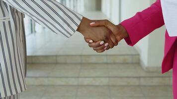 Two glamorous African American business ladies in a white striped suit and in a pink suit shake hands to each other. Close-up view of hands video