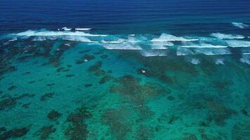 aérien vue de Caraïbes barrière récif capture spectacle de vagues rupture sur corail formations, mettant en valeur spectre de blues variant de turquoise à Profond marine mer se transforme dans couleur. en volant vers l'avant video