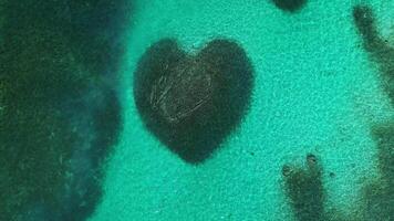 aérien Haut vue la perspective capture une en forme de coeur barrière récif au milieu de le turquoise des eaux de une tropical paradis, niché dans le Caraïbes mer dans le atlantique océan. Zoom dans. video