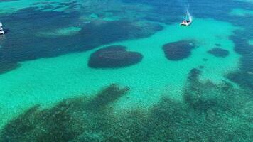 Aerial top view at Heart-shaped barrier reef. Caribbean Sea. Dominican Republic. video